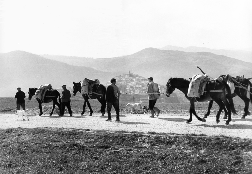 Lucania 60 - Ritorno dai campi