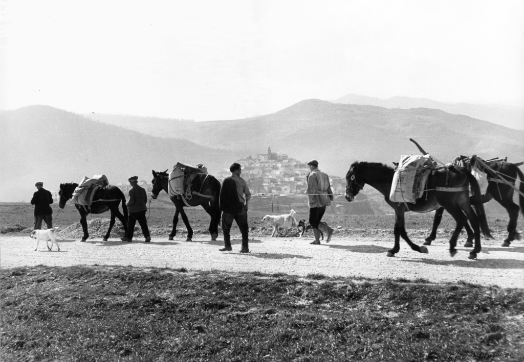 Lucania 60 - Ritorno dai campi